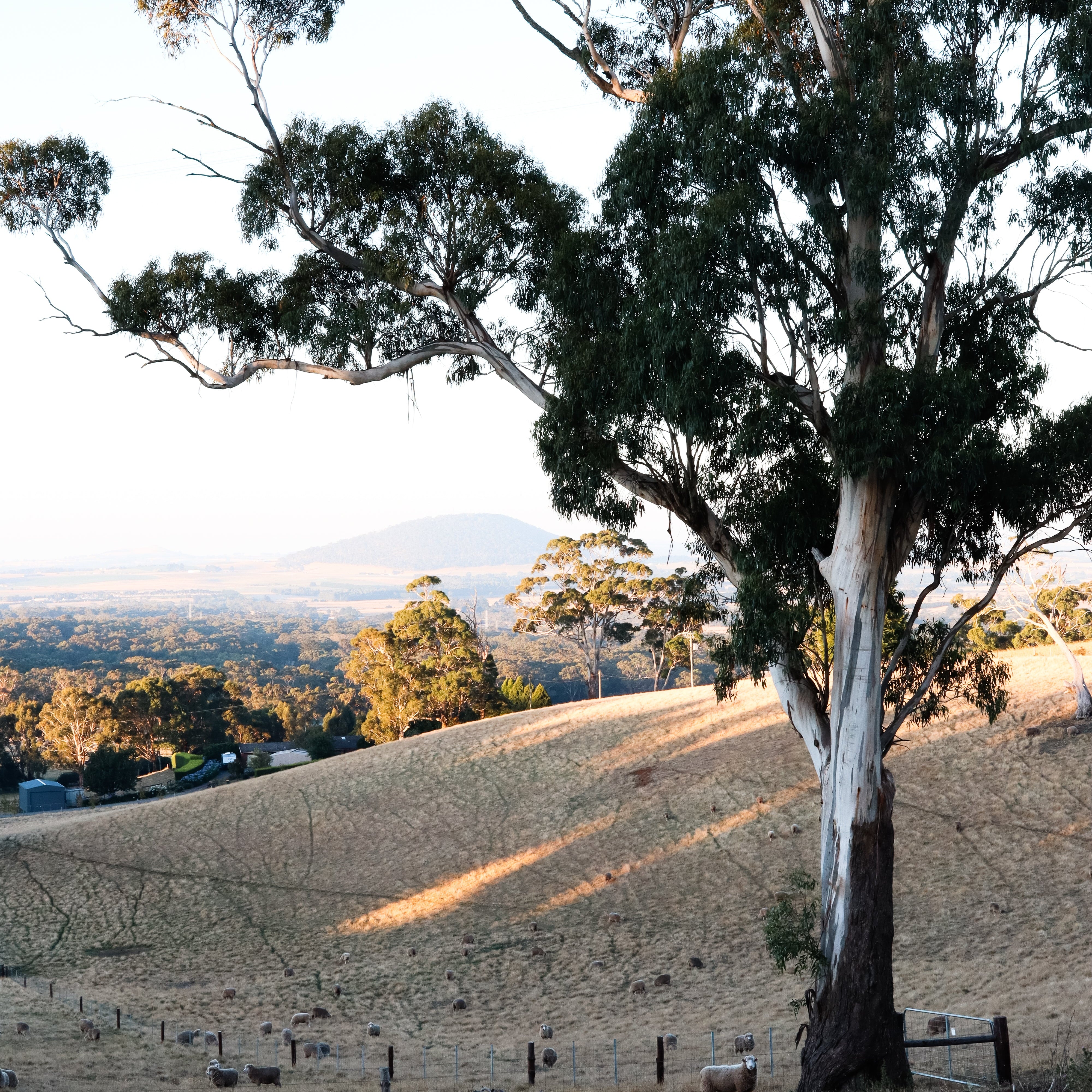 A Cozy Retreat - Monteith's Mountain Den