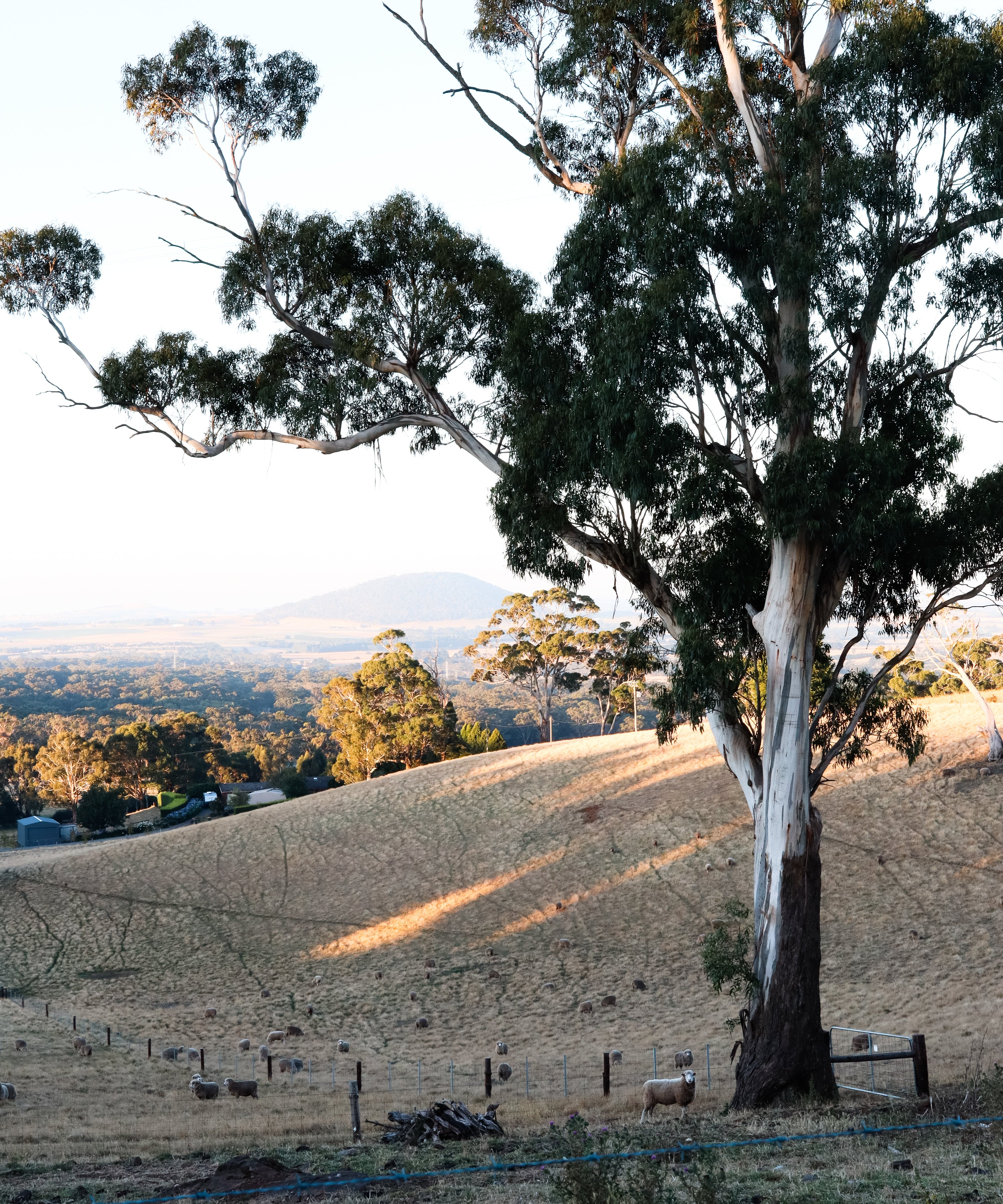 A Cozy Retreat - Monteith's Mountain Den