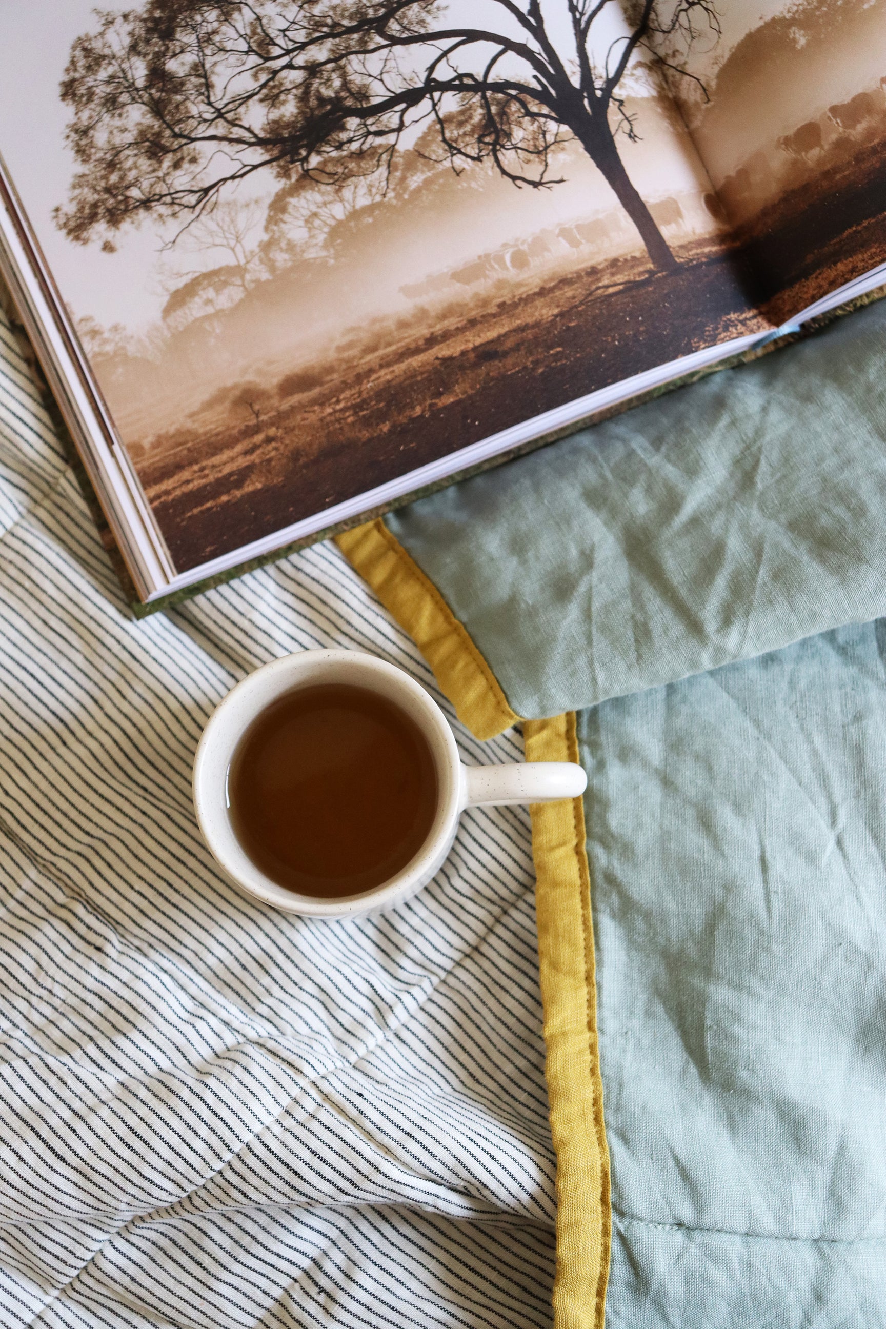 Sage & Pinstripe Quilt Sunday Linen